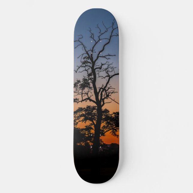 Tree on a sunset background skateboard deck (Front)