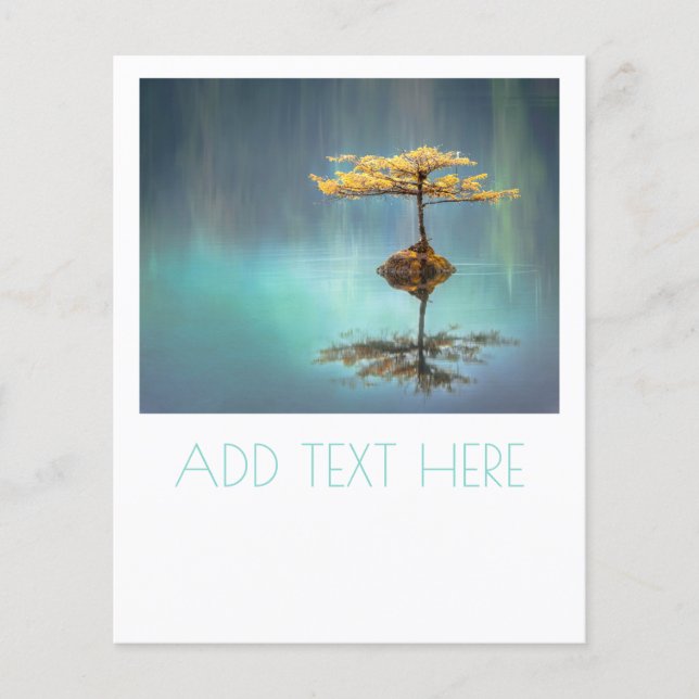 TREE ON AN ISLAND FLYER WITH CUSTOMISABLE TEXT (Front)