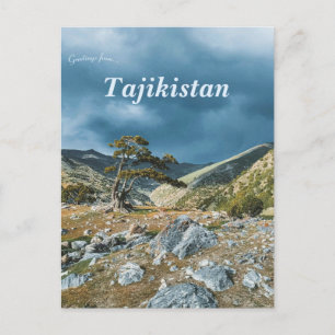 Tree on Fann Mountains in Tajikistan Postcard