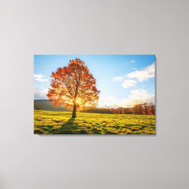 Tree on Fire Canvas Print (Front)