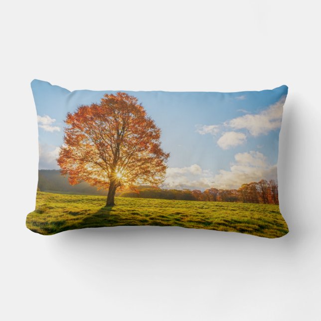 Tree on Fire Lumbar Pillow (Front)