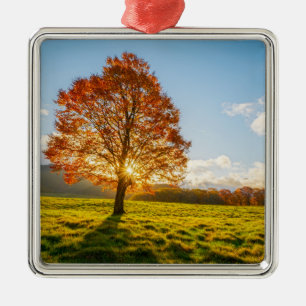 Tree on Fire Metal Ornament
