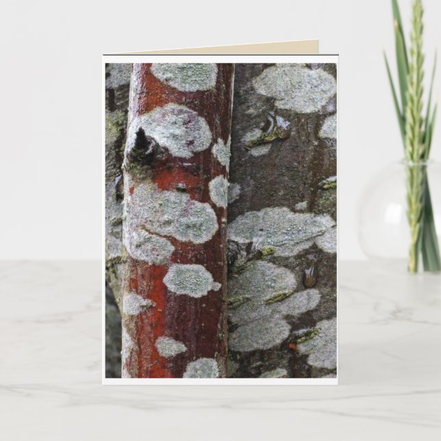 Tree on Tree Blank Card (Front)