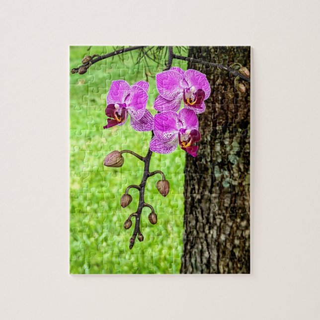 Tree Orchid in Bloom Jigsaw Puzzle (Vertical)