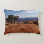 Tree Out of Red Rocks at Canyonlands National Park Accent Pillow