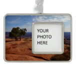 Tree Out of Red Rocks at Canyonlands National Park Christmas Ornament