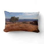 Tree Out of Red Rocks at Canyonlands National Park Lumbar Pillow