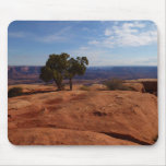 Tree Out of Red Rocks at Canyonlands National Park Mouse Pad
