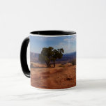 Tree Out of Red Rocks at Canyonlands National Park Mug