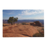 Tree Out of Red Rocks at Canyonlands National Park Placemat