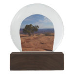 Tree Out of Red Rocks at Canyonlands National Park Snow Globe
