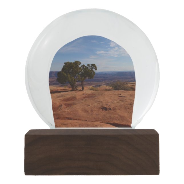 Tree Out of Red Rocks at Canyonlands National Park Snow Globe (Front)
