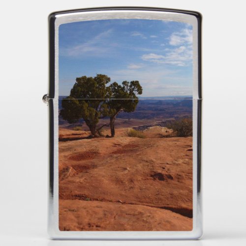 Tree Out of Red Rocks at Canyonlands National Park Zippo Lighter