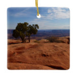 Tree Out of Red Rocks I at Canyonlands Ceramic Ornament