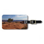 Tree Out of Red Rocks I at Canyonlands Luggage Tag