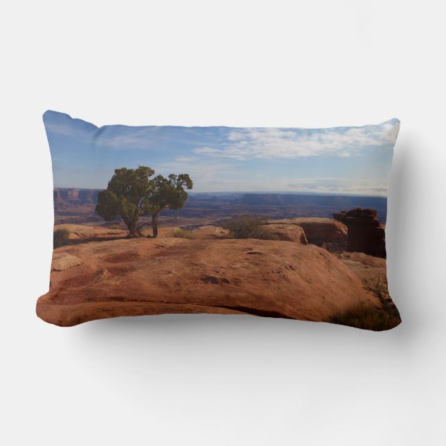 Tree Out of Red Rocks I at Canyonlands Lumbar Pillow (Front)