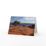 Tree Out of Red Rocks I at Canyonlands Note Card