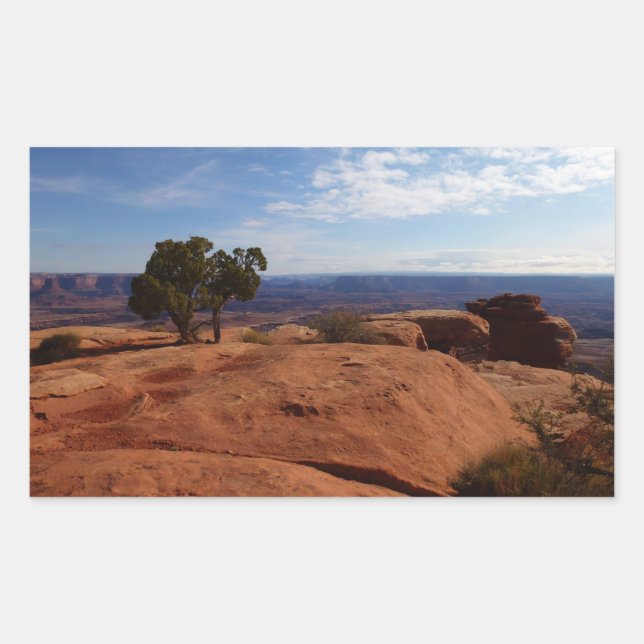 Tree Out of Red Rocks I at Canyonlands Rectangular Sticker (Front)