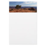 Tree Out of Red Rocks I at Canyonlands Stationery