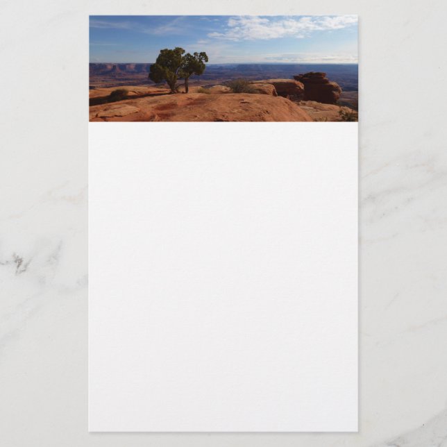Tree Out of Red Rocks I at Canyonlands Stationery (Front)