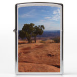 Tree Out of Red Rocks I at Canyonlands Zippo Lighter