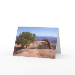 Tree Out of Red Rocks II at Canyonlands Note Card