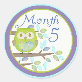 Tree Owl Milestone Month 5 Classic Round Sticker by CuteLittleTreasures at Zazzle