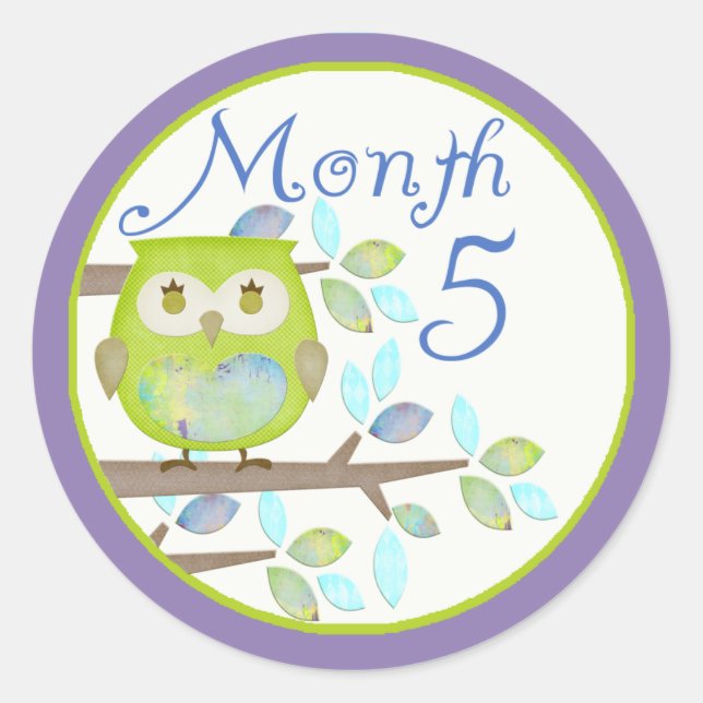 Tree Owl Milestone Month 5 Classic Round Sticker (Front)