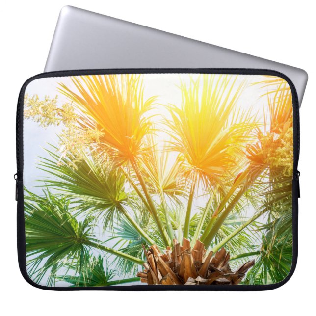 Tree palm bright sun summer background. tropical p laptop sleeve (Front)