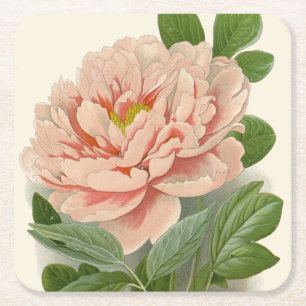 Tree Peony – Elegant Vintage Botanical Design Square Paper Coaster