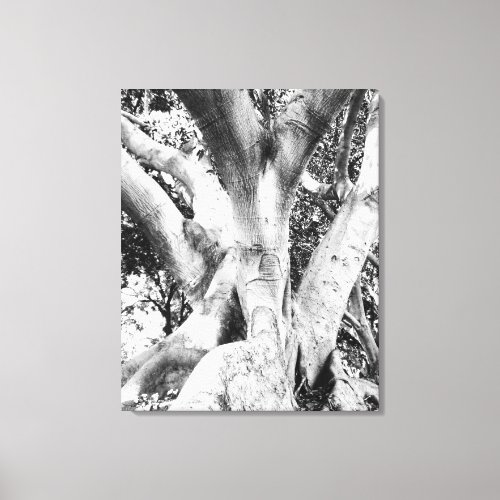 Tree Photo _ Black and White Tree Monochrome Thick Canvas Print