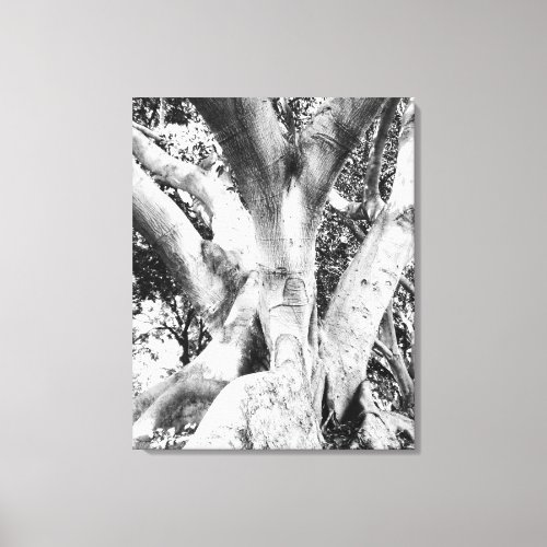 Tree Photo _ Black and White Tree Monochrome Thick Canvas Print