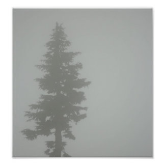 Tree Photo Print