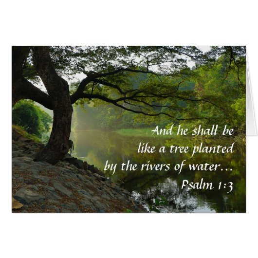 Tree Planted by Water, Psalm 1:3, Scripture Cards (Front Horizontal)