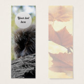 Tree Porcupine (Front & Back)