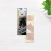 Tree Porcupine (Desk)