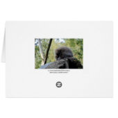 Tree Porcupine Cards (Back Horizontal)