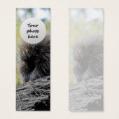 Tree Porcupine Custom Bookmark (Front & Back)