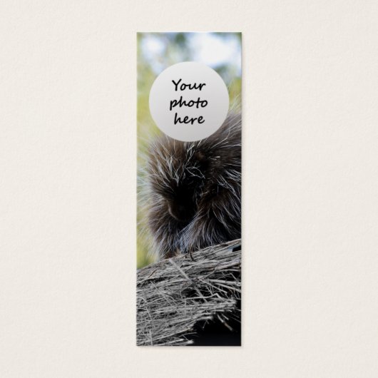Tree Porcupine Custom Bookmark (Front)