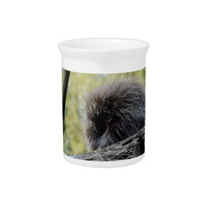 Tree Porcupine Pitcher