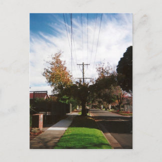 tree postcard