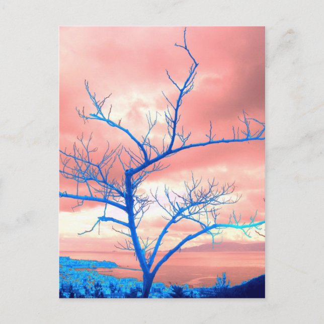 tree postcard (Front)