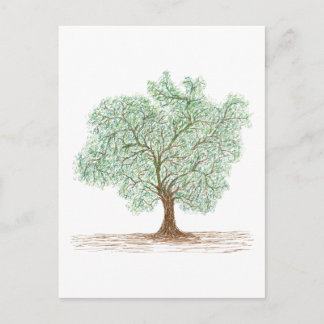 tree postcard