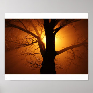Tree Poster