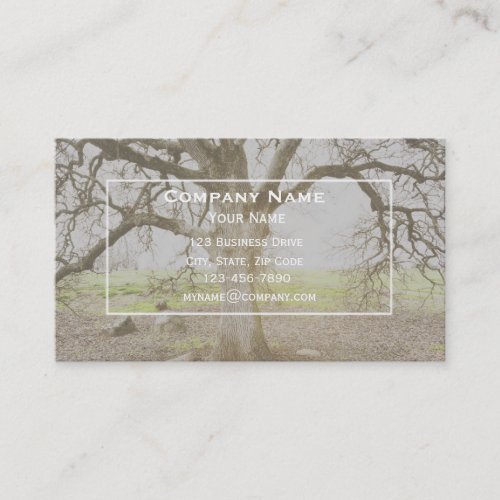 Tree Pruning Business Card