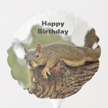 Tree Reclining Squirrel Birthday