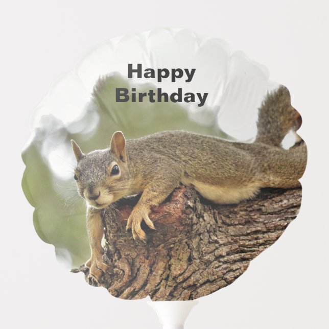 Tree Reclining Squirrel Birthday Balloon (Front)