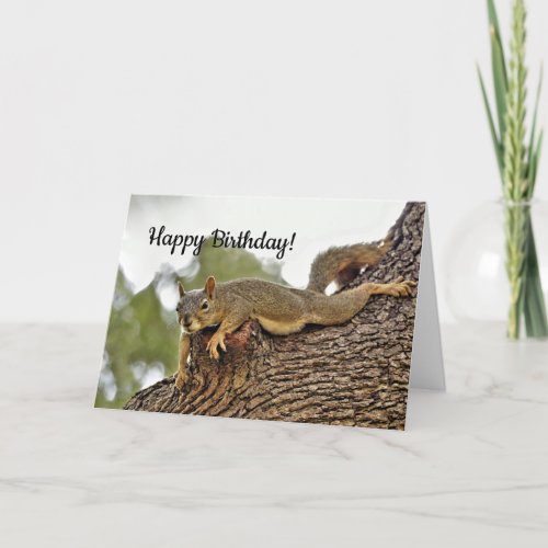 Tree Reclining Squirrel Birthday Card