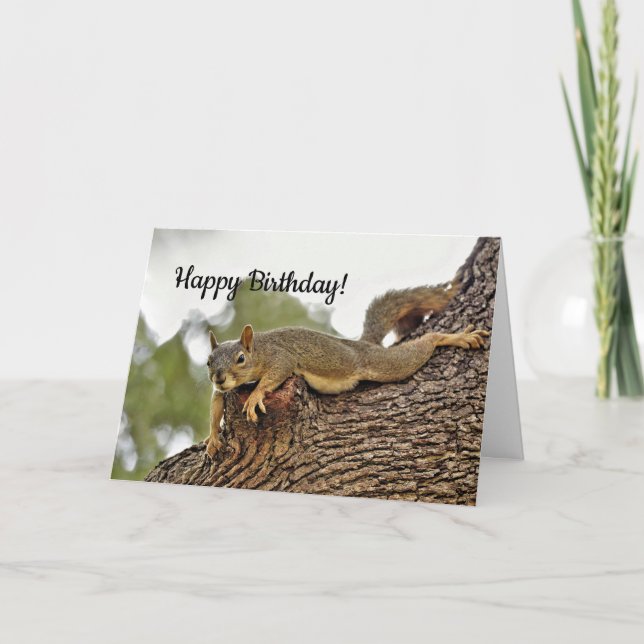 Tree Reclining Squirrel Birthday Card (Front)