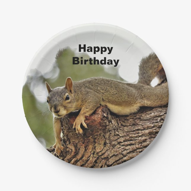 Tree Reclining Squirrel  Birthday Paper Plates (Front)